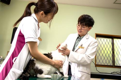 【獣医師】分院長登用もあり☆仙台東にて医療センター開院☆