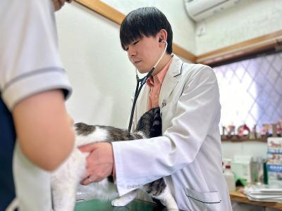 【獣医師】子育てしながらも働ける☆地域のかかりつけ医