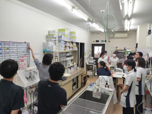【愛玩動物看護師】☆動物福祉から高度医療まで豊富なキャリア☆