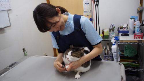 【所沢市】トリマー募集中！優しい職場！働きやすさ重視