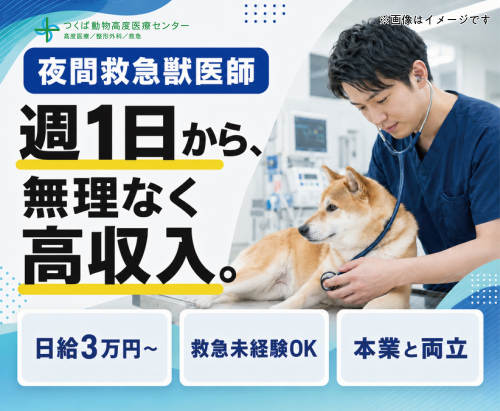 夜間救急獣医師/週1日〜/未経験でも日給3万円〜