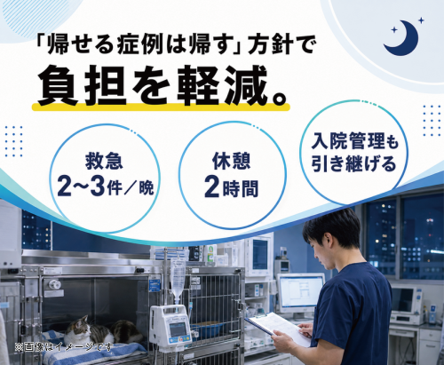 夜間救急獣医師/週1日〜/未経験でも日給3万円〜