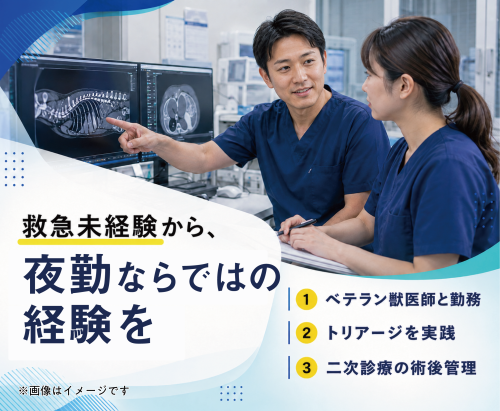 夜間救急獣医師/週1日〜/未経験でも日給3万円〜