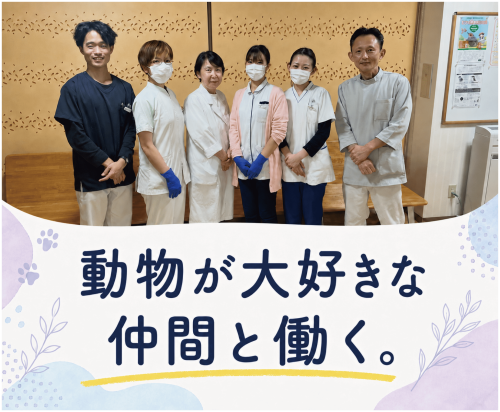 【札幌】動物病院受付｜動物好き歓迎｜未経験OK