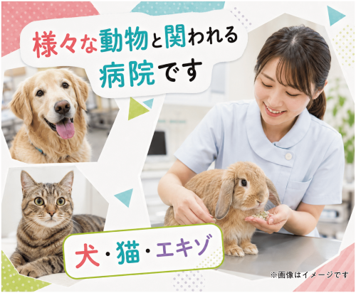 【札幌】動物病院パート受付｜週1日～｜子育てと両立｜未経験可
