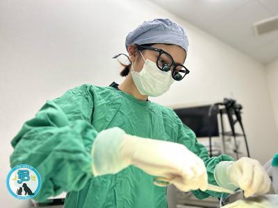 【獣医師】分院長登用もあり☆大阪でグループ拡大中☆
