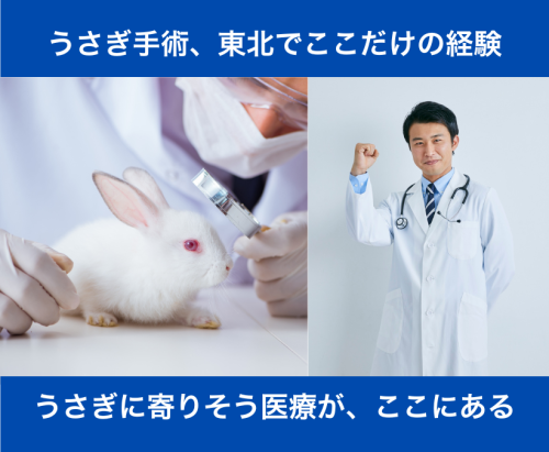 【山形市】獣医師　うさぎ手術・CT・腹腔鏡　年休120日以上