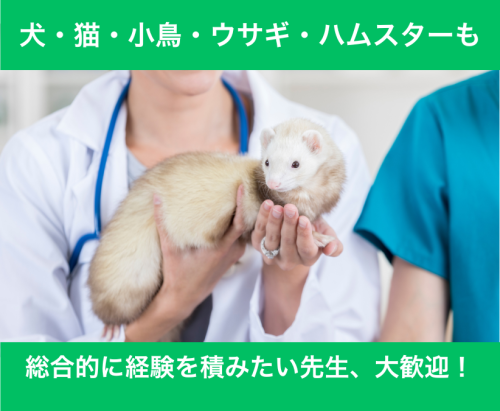 【札幌】パート獣医師｜週1日～OK｜午前のみ可｜ブランクOK