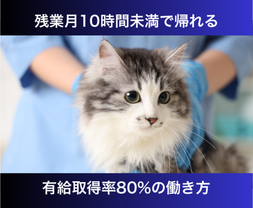 【流山市】愛玩動物看護師・ケアスタッフ｜月35万円を目指せる
