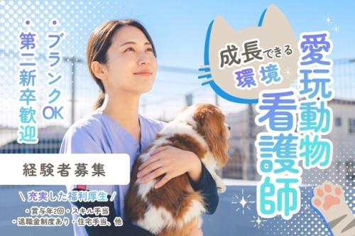△▼愛玩動物看護師▼△松原動物病院（大阪府松原市）