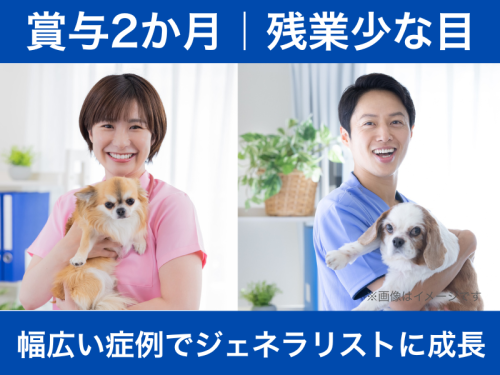 【獣医師】流山市｜最多症例皮膚科を専門的に診る、成長チャンス
