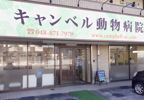【さいたま市】獣医師　実習大歓迎！
