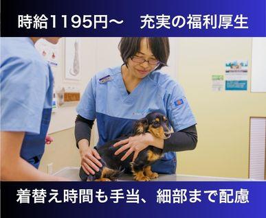 【愛知・弥富】パート動物看護師｜週3日～｜家庭との両立◎