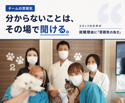 【高槻】獣医師｜CT・腹腔鏡完備｜充実の福利厚生｜昇給幅大◎