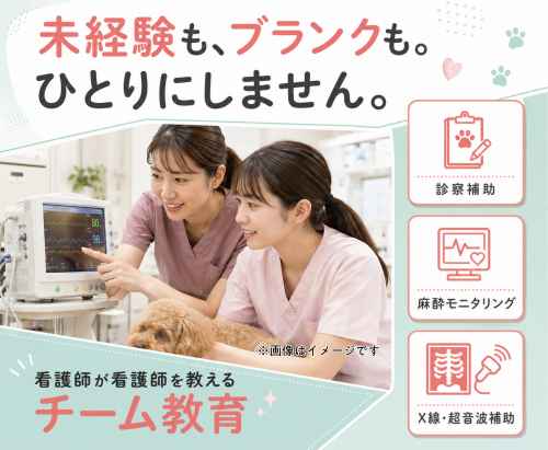 【太田市】愛玩動物看護師・ケアスタッフ｜未経験OK｜週1～