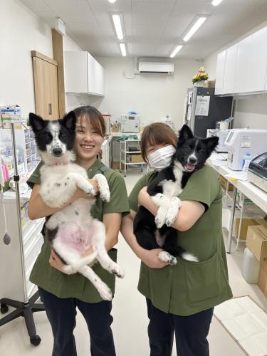 山口県宇部市【ケアスタッフ】充実した福利厚生