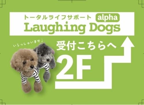 犬の保育園でのトリマー募集！ノルマなし♪