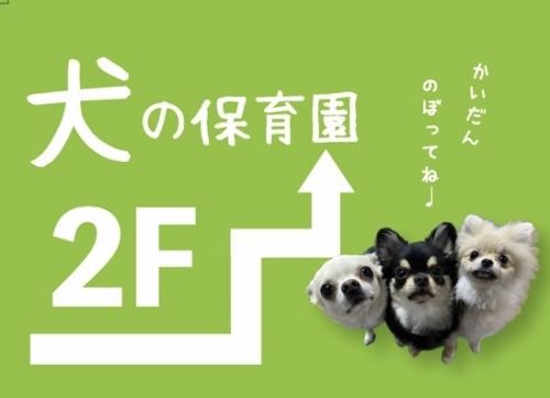 犬の保育園でのトリマー募集！ノルマなし♪