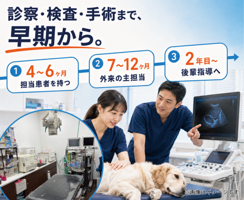 【獣医師】 圧倒的福利厚生と昇給速度 70万可 賞与3回 