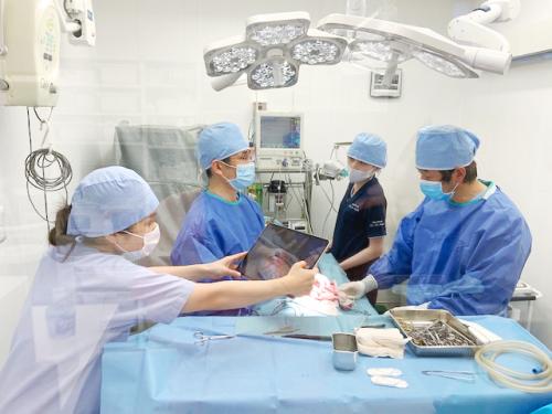 【獣医師】臨床経験 〜5年目ぐらい/学び充実/東京荒川区