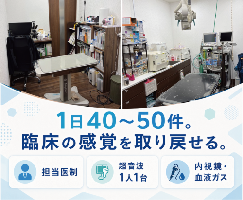 【獣医師】高待遇｜時給2,000円〜｜週2〜・午前のみOK