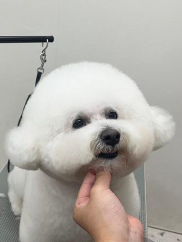 トリマーさん、募集します！！