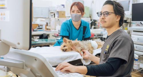動物病院なはの獣医師募集！