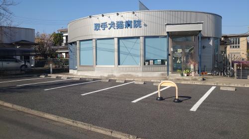 動物看護士、診療補助スタッフを募集しています