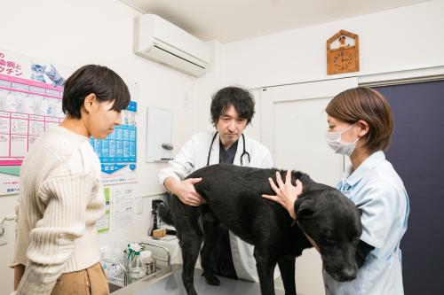 パート獣医師募集！【残業少なめ・シフト柔軟】