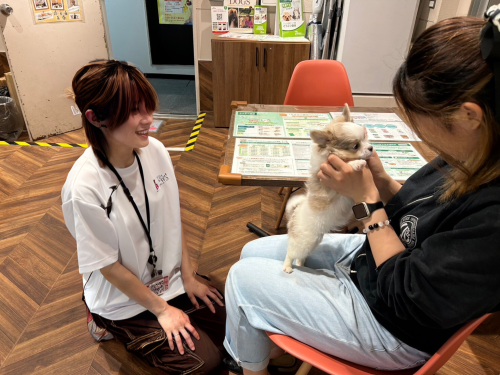 池袋駅すぐ！犬猫に関する経験者さん募集！ペットショップ店員