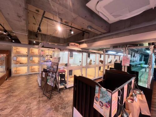 池袋駅すぐ！犬猫に関する経験者さん募集！ペットショップ店員