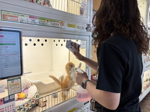 池袋駅すぐ！犬猫に関する経験者さん募集！ペットショップ店員