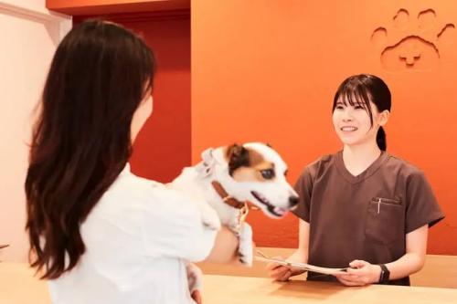 【正社員】KINS WITH動物病院二子玉川本院 / 獣医師