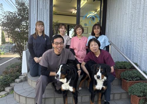 【正社員】KINS WITH動物病院立川院 / 獣医師