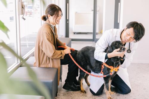 経験者トリミングスタッフ募集【DCC動物病院 相模原】