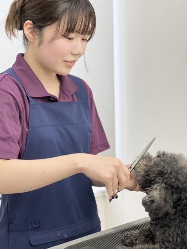 【新卒トリマー】週休3日制・17時退社も可能な動物病院！