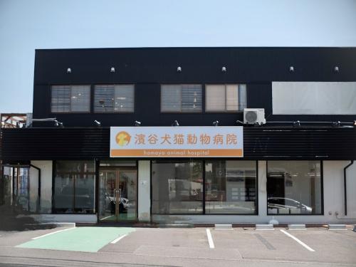 【（中途）動物看護師／ケアスタッフ】新しい動物病院です！