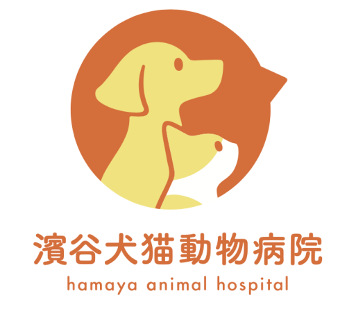 【（中途）動物看護師／ケアスタッフ】新しい動物病院です！