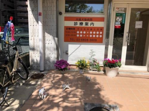 動物看護師/動物ケアスタッフ　募集