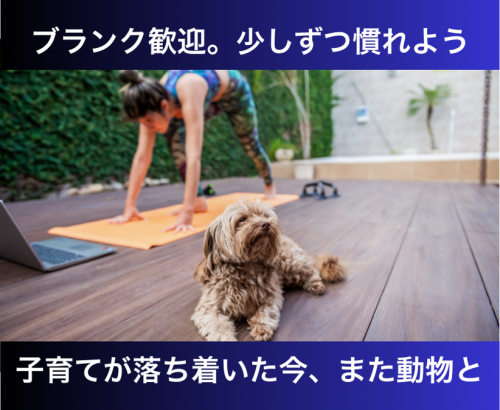 【流山市】パート動物看護スタッフ｜週2日～・午前のみOK