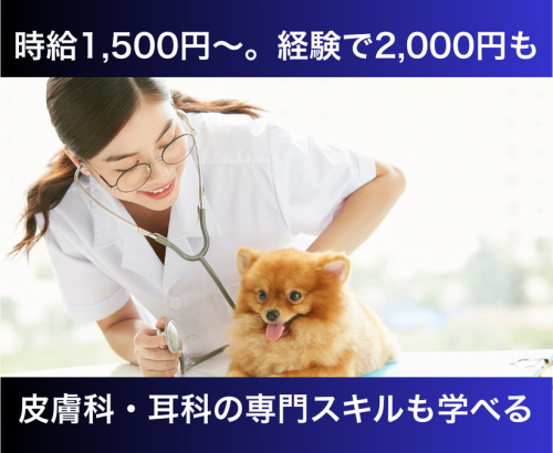 【流山市】パート動物看護スタッフ｜週2日～・午前のみOK