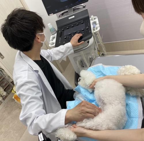 【正社員・パート募集】動物看護師・京田辺・新田辺駅近徒歩1分