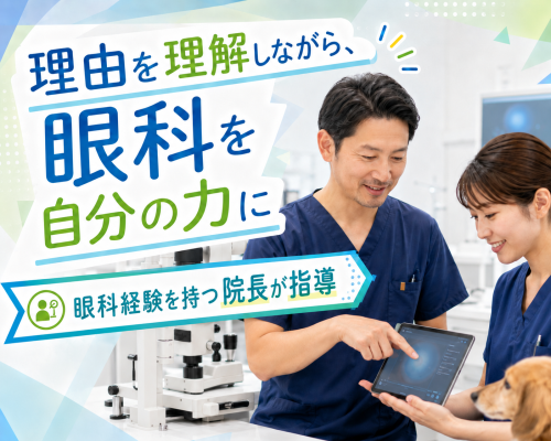 【戸田】非常勤獣医師｜子育て中のスタッフ多数！｜週1〜OK