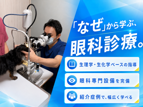 【戸田】獣医師｜眼科で成長し余裕ある働き方｜入社祝い金40万