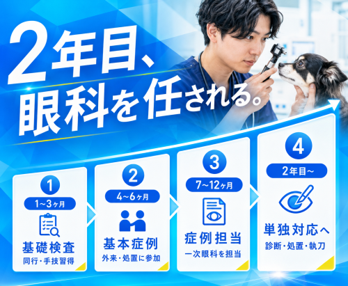 【戸田】獣医師｜眼科で成長し余裕ある働き方｜入社祝い金40万