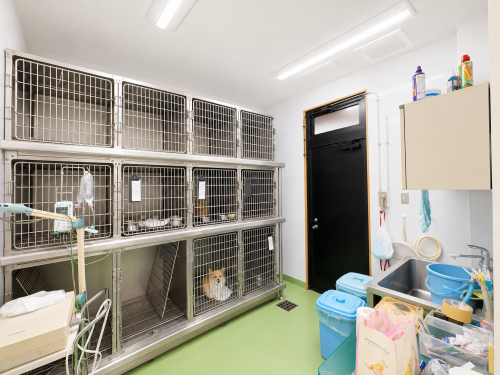 市原市の五井動物病院【動物看護師募集】