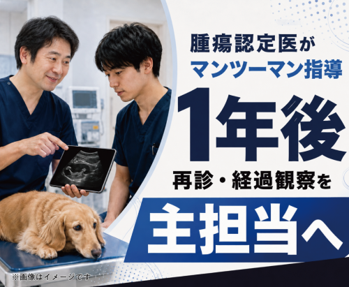 【福生市】獣医師｜腫瘍認定医在籍｜3～4連休OK