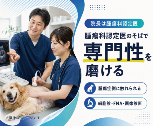 【福生市】獣医師｜腫瘍学び×家庭両立｜午前のみOK