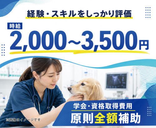 【福生市】獣医師｜腫瘍学び×家庭両立｜午前のみOK