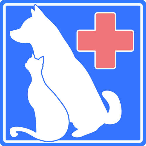 動物看護師募集です